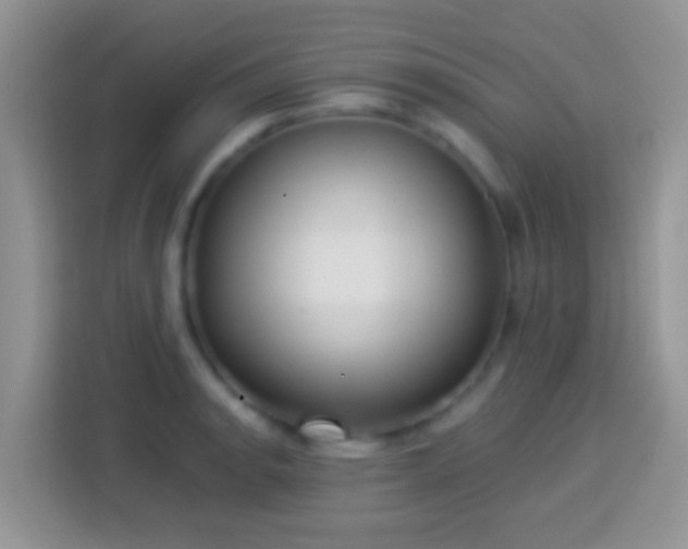 X0000113881134200910011127