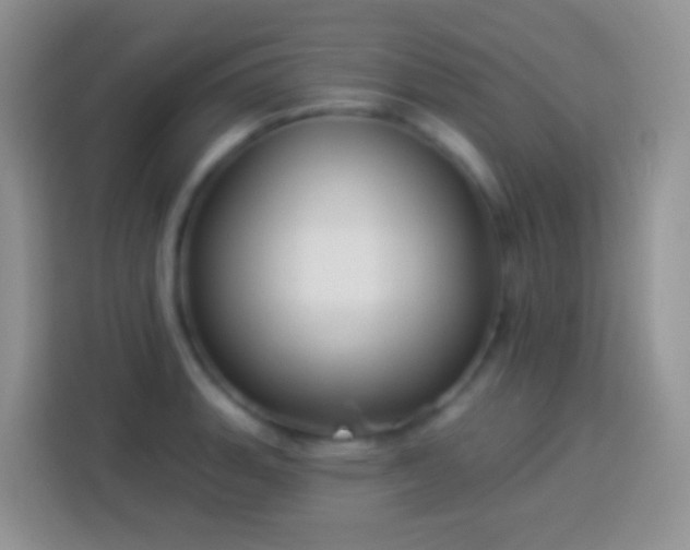 X0000113881135200910011127