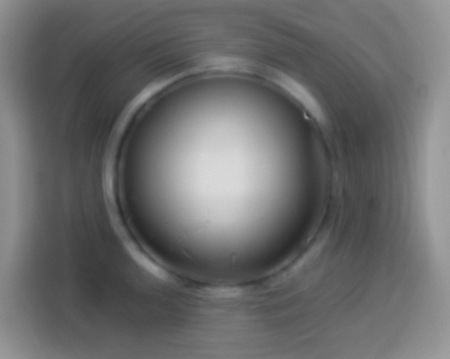 X0000113881136200910011127