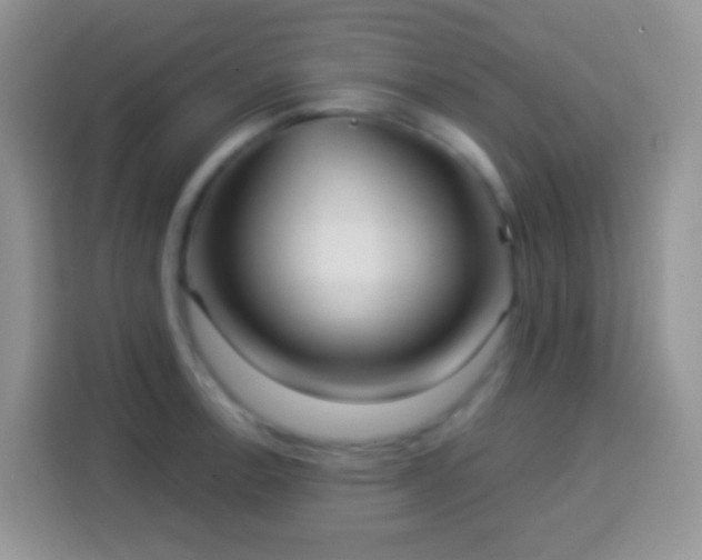 X0000113881138200910011127