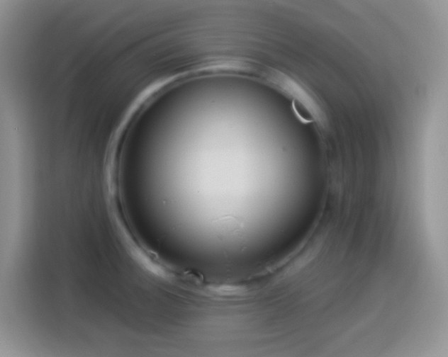 X0000113881140200910011127