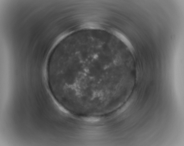 X0000113881141200910011127