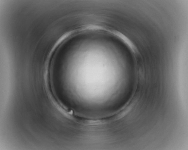 X0000113881142200910011127