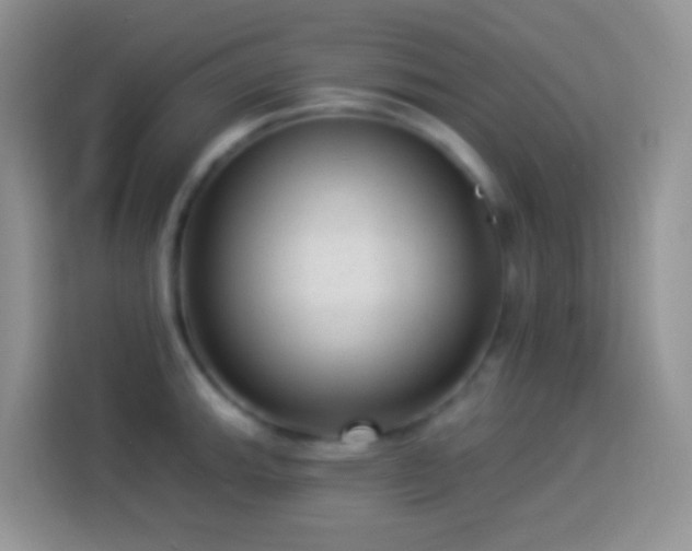 X0000113881143200910011127