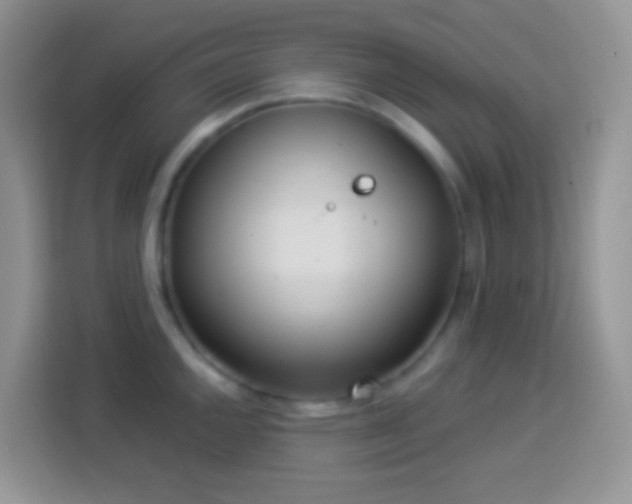 X0000113881144200910011127