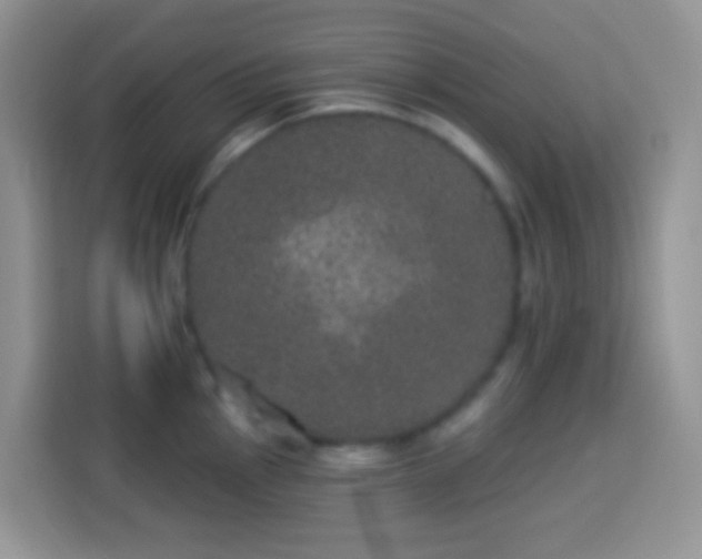 X0000113881145200910011127