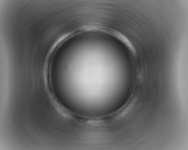 X0000113881146200910011127