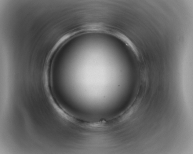 X0000113881147200910011127