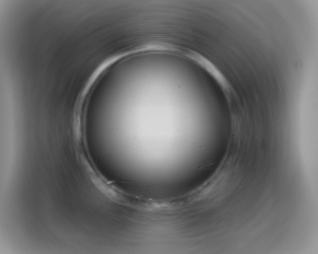 X0000113881148200910011127