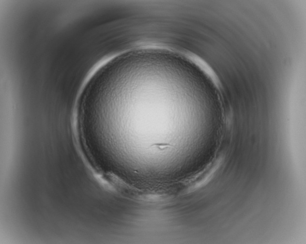 X0000113881149200910011127