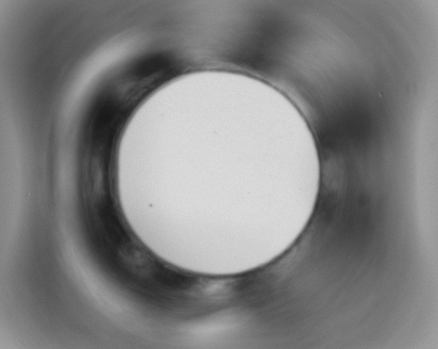 X0000113881150200910011127