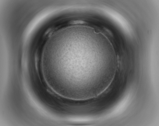 X0000113881151200910011127