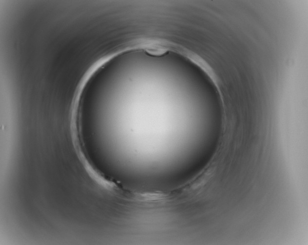 X0000113881152200910011127