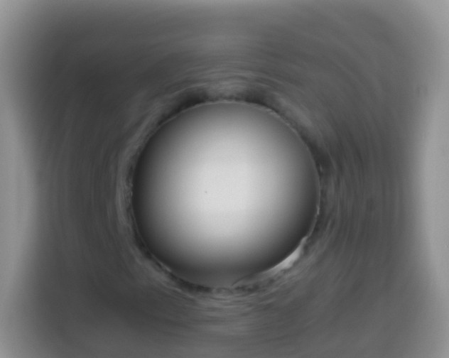 X0000113881153200910011127