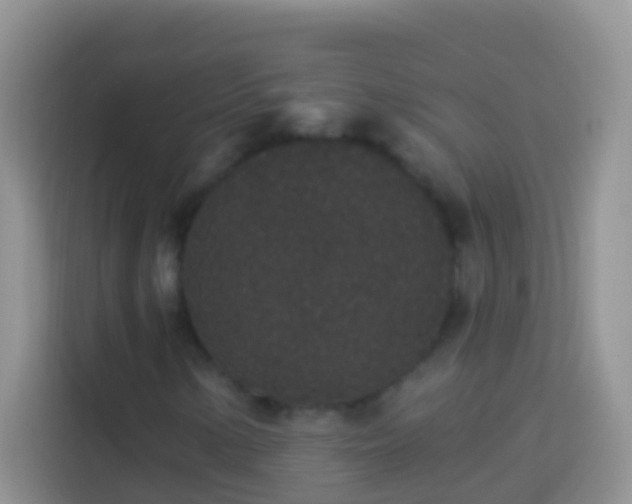 X0000113881154200910011127