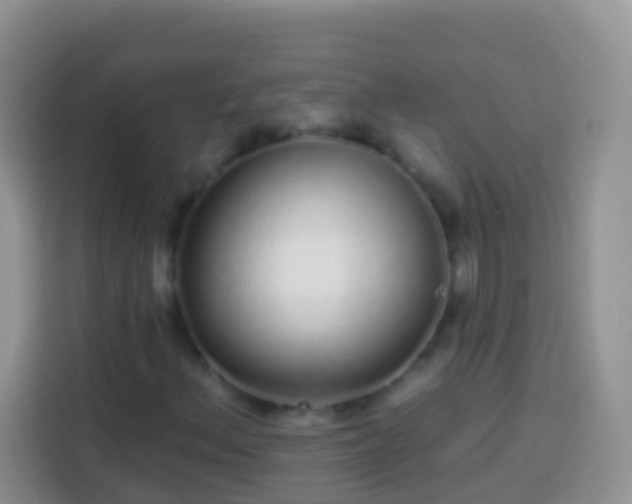 X0000113881156200910011127