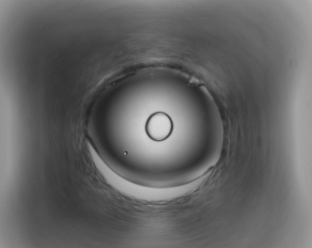 X0000113881157200910011127