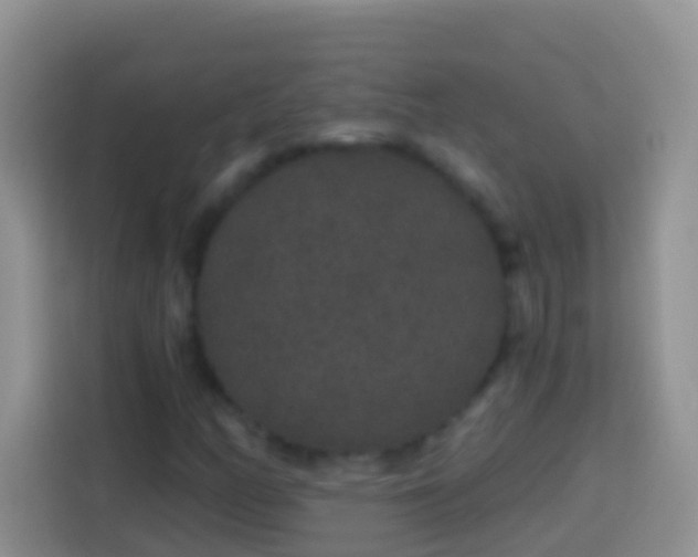 X0000113881158200910011127