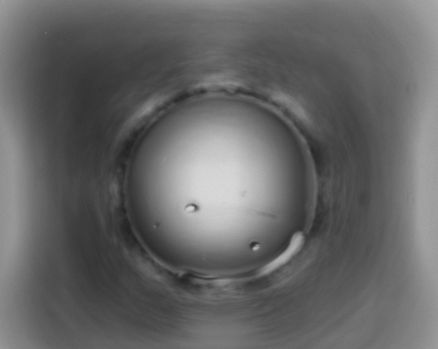 X0000113881159200910011127