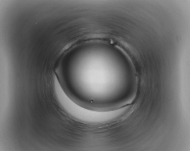 X0000113881161200910011127