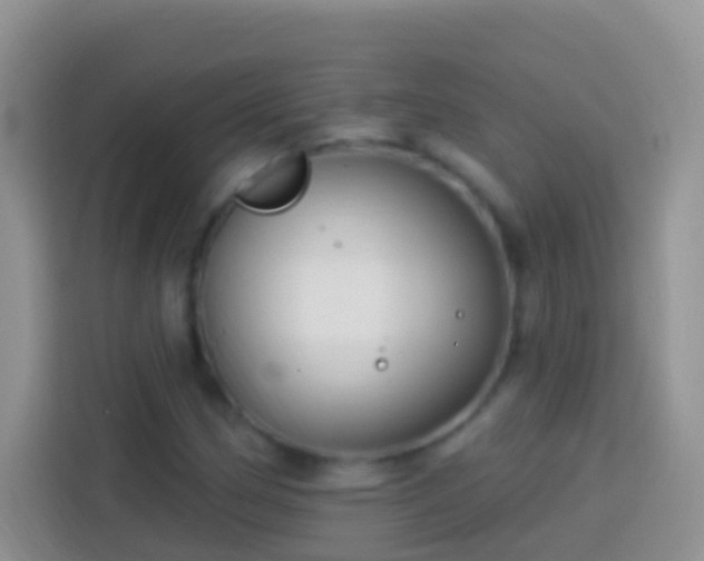 X0000113881162200910011127