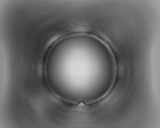 X0000113881163200910011127