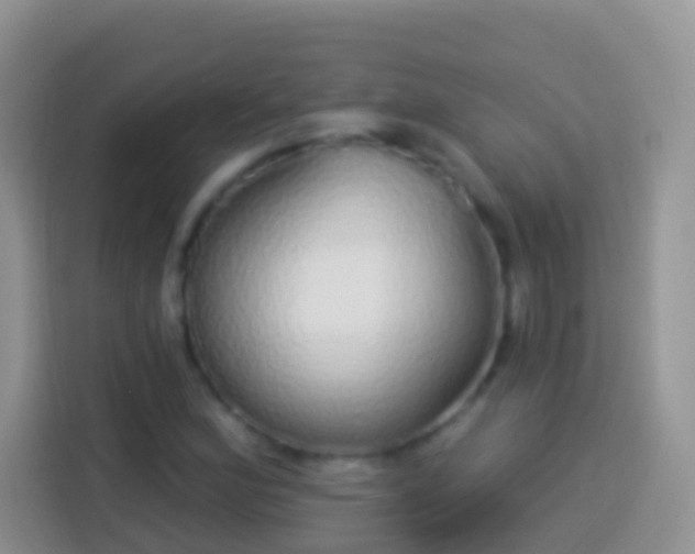 X0000113881164200910011126