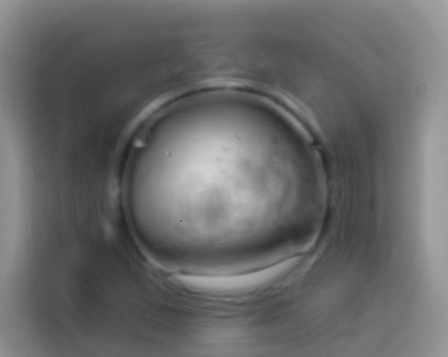 X0000113881167200910011126