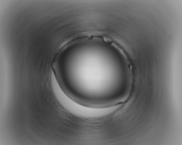 X0000113881169200910011126
