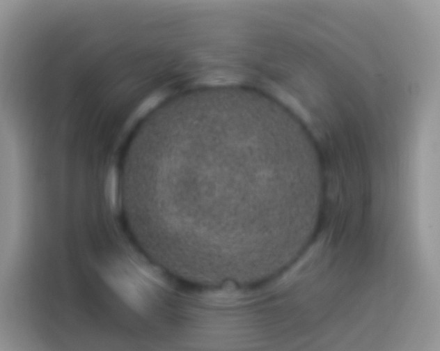 X0000113881171200910011126