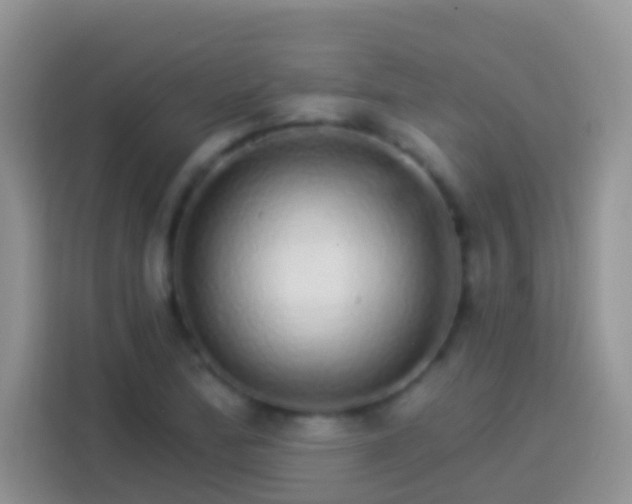 X0000113881172200910011126