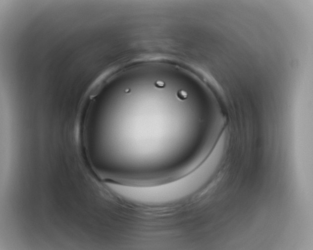 X0000113881173200910011126