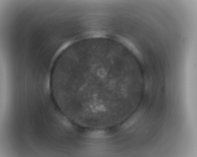 X0000113881174200910011126