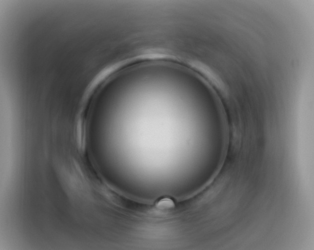 X0000113881175200910011126