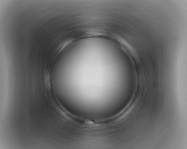 X0000113881177200910011126