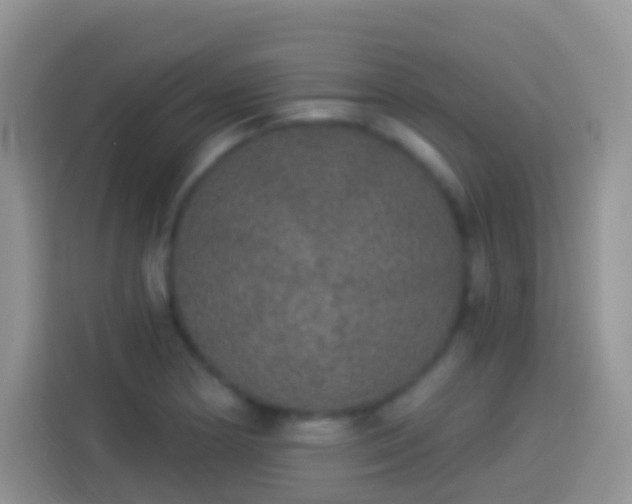 X0000113881178200910011126