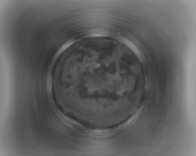 X0000113881179200910011126