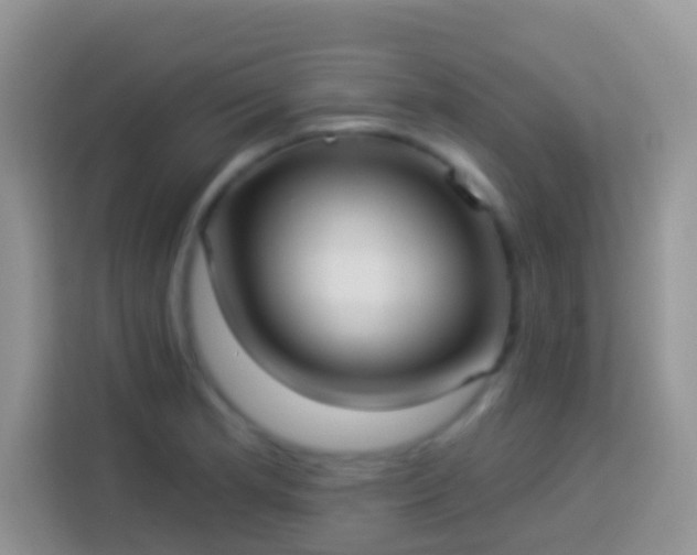 X0000113881181200910011126