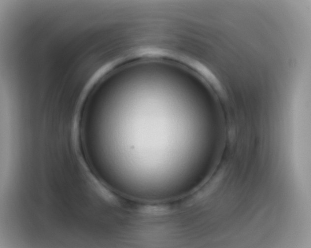X0000113881183200910011126