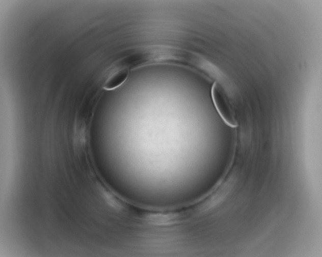 X0000113881185200910011126