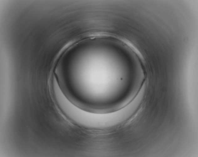 X0000113881189200910011126