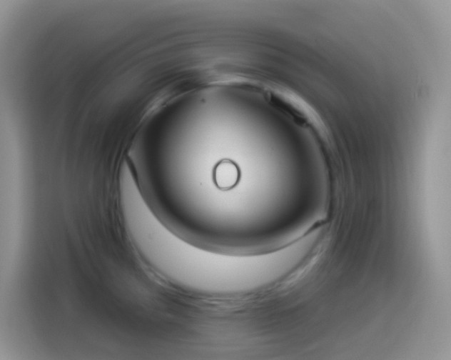 X0000113881193200910011126