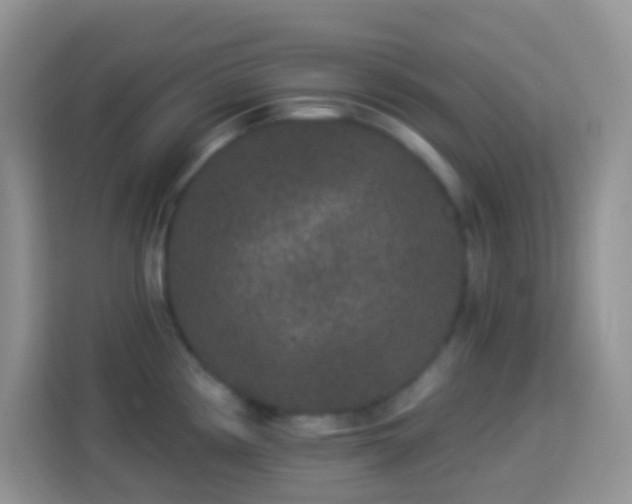 X0000113881194200910011126