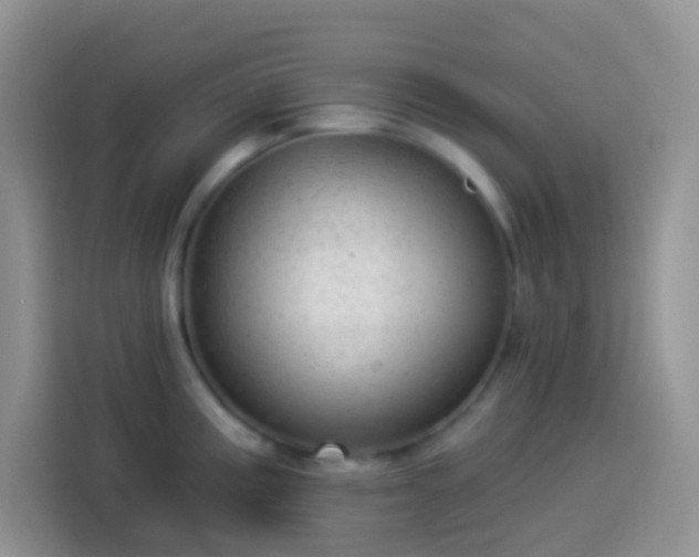 X0000113881195200910011126