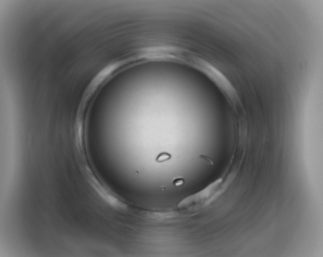 X0000113881196200910011126