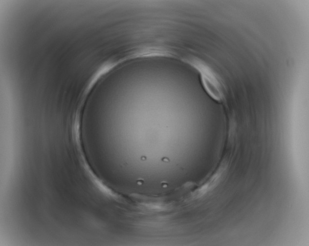 X0000113881197200910011126