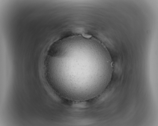X0000113881201200910011125