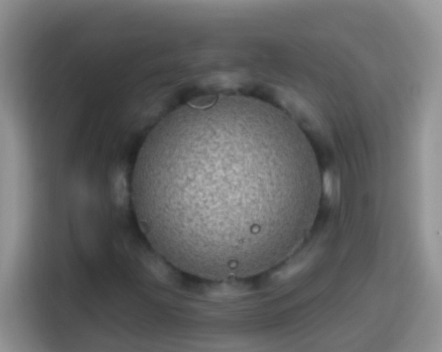 X0000113881203200910011125