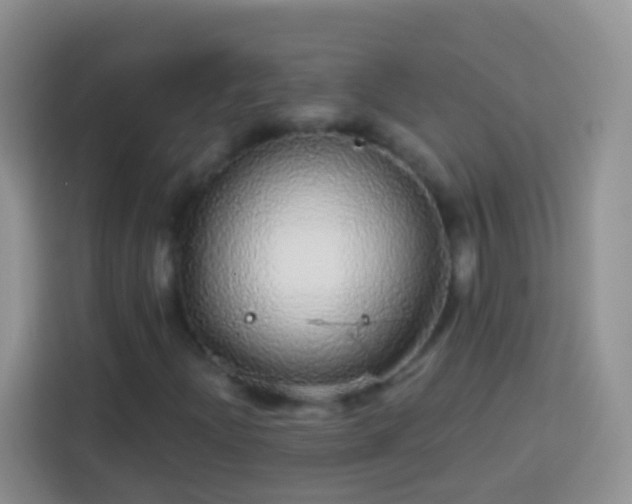 X0000113881204200910011125