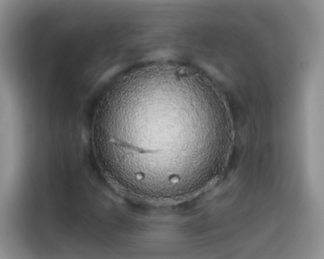 X0000113881206200910011125